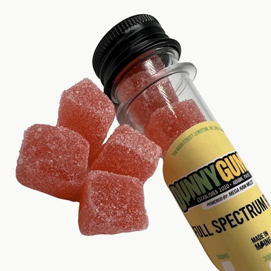 Indico - 500mg Swedish Fish Dunny Gummies - 1