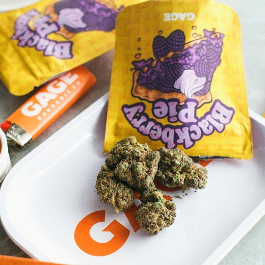 GAGE - Blackberry Pie - 1