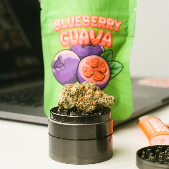GAGE - Blueberry Guava - 1