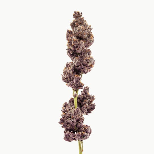 Method - Tropicana Cherries — Popcorn - 1