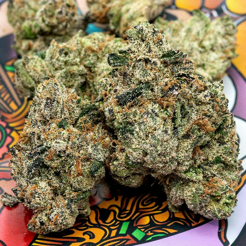 TEDS BUDZ - Teds Budz | Garlic Shrimp Girl | 3.5g - 1