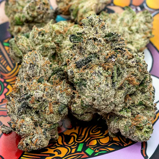 TEDS BUDZ - Teds Budz | Garlic Shrimp Girl | 3.5g - 1