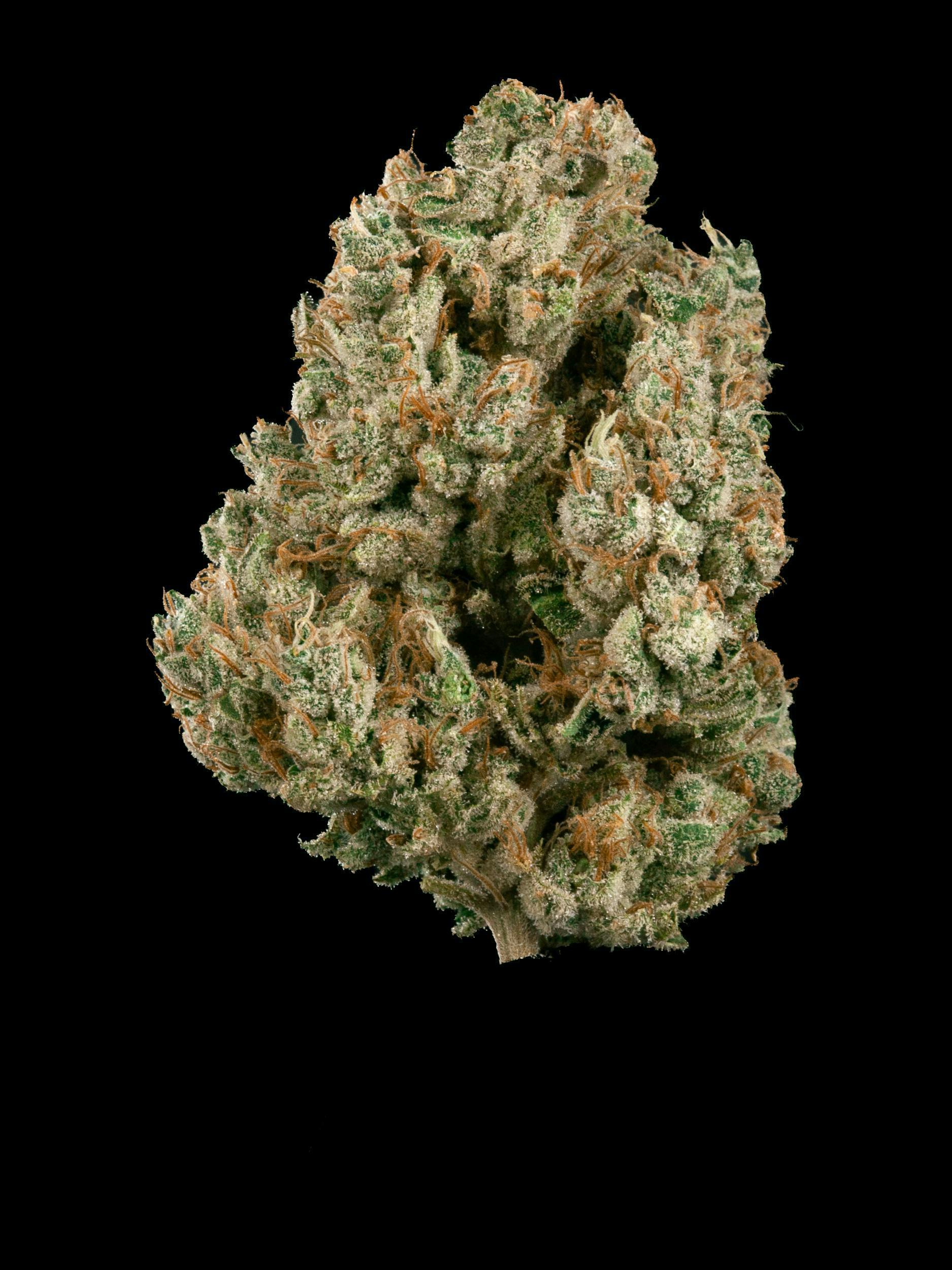 Garden First Cannabis - Donny Burger by Garden First - 1