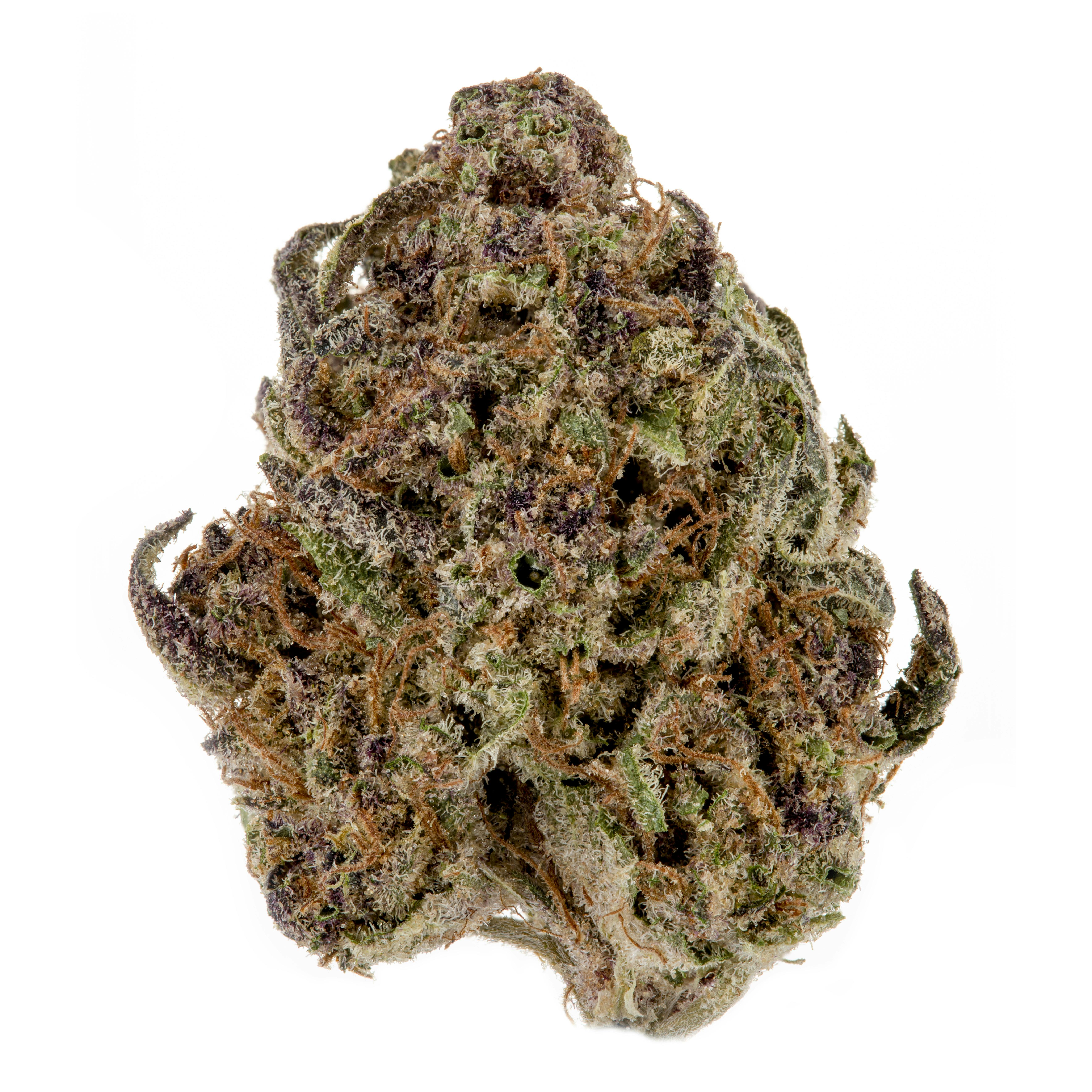 Casacanna - Blackberry Kush - 1