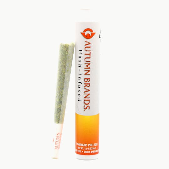 Autumn Brands - GMOG Premium 1g Hash infused Preroll - 1