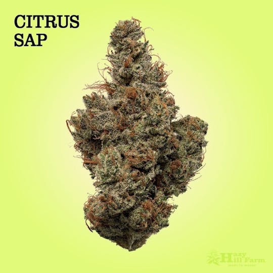 Hazy Hill Farm - Citrus Sap - 1