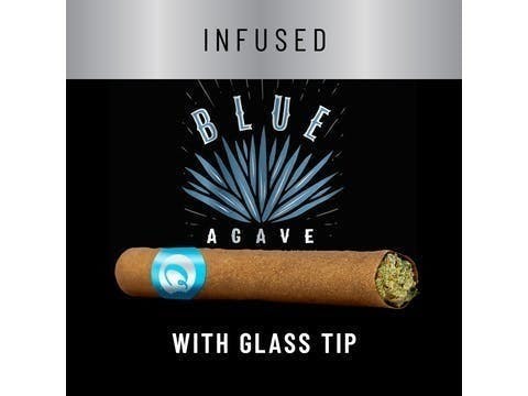 Cookies - Cookies - Huckleberry Gelato - 1