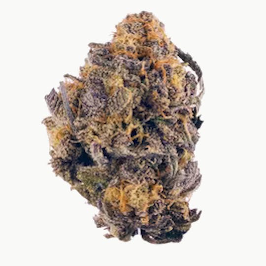 Wellness Connection - Querkle - 1
