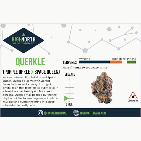 Wellness Connection - Querkle Pre Roll - 1