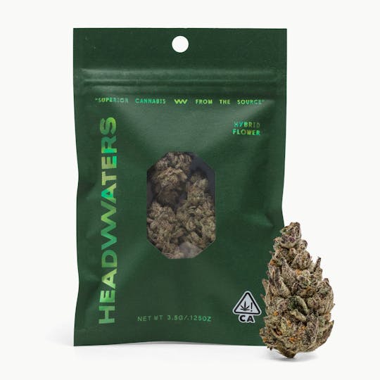 Headwaters - HEADWATERS | Golden Gas | 3.5g Flower - 1