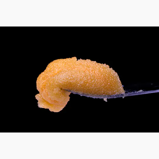 Sputnik - SPUTNIK Sativa Extracts - Apple Jack Sugar (1g) - 1