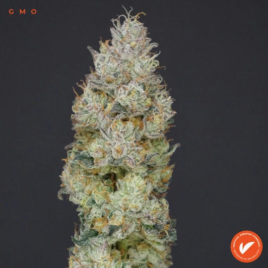 Vertical Cannabis - GMO - 1
