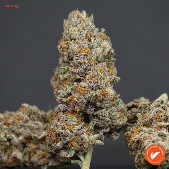 Vertical Cannabis - Jealousy - 1
