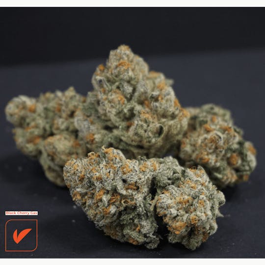 Vertical Cannabis - Black Cherry Gas - 1