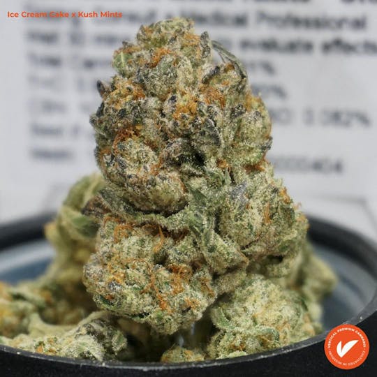 Vertical Cannabis - Ice Cream Cake x Kush Mints - 1