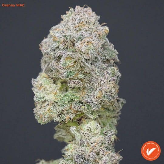 Vertical Cannabis - Granny Mac - 1