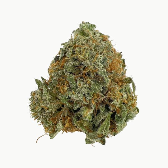 Indico - Pink Certz - 1