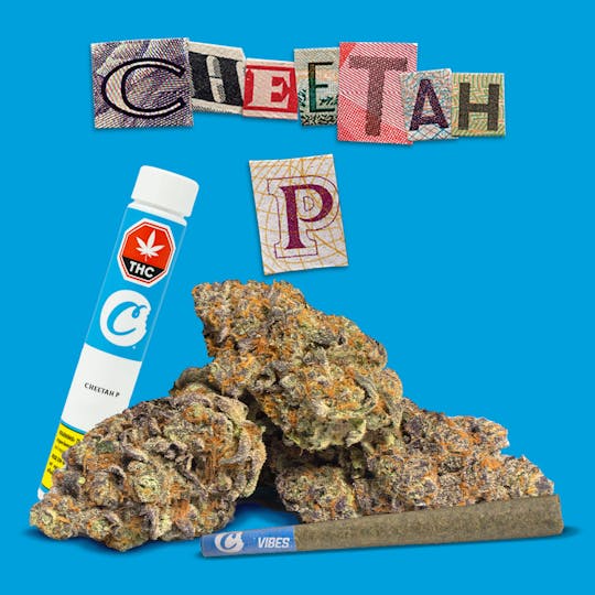 Cookies Canada - Cheetah P 1g Preroll - 1