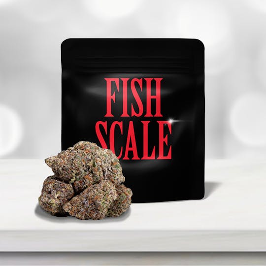 Cookies Canada - Fish Scale - 1