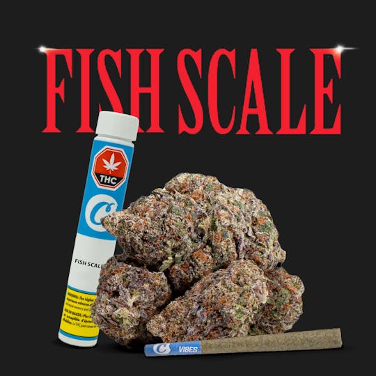 Cookies Canada - Fish Scale 1g Preroll - 1