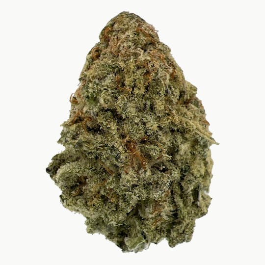 Indico - MAC-1 - 1