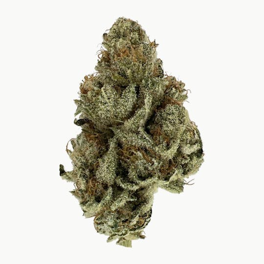 Indico - Florida Strawberries - 1