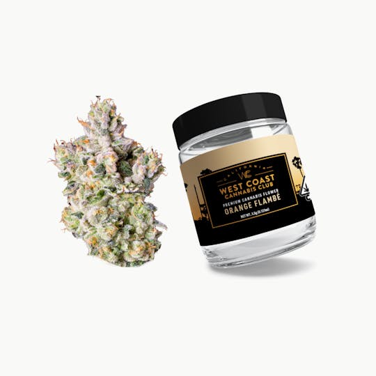 West Coast Cannabis Club - WCCC | Orange Flambé - 1