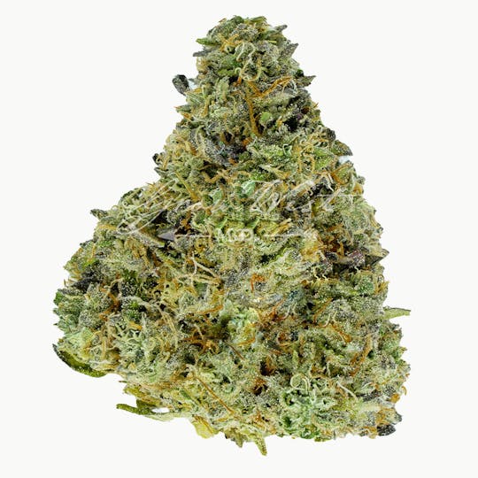 Grow West Cannabis Company - Malibu Cake | Premium | Hand-Trimmed Flower - 1