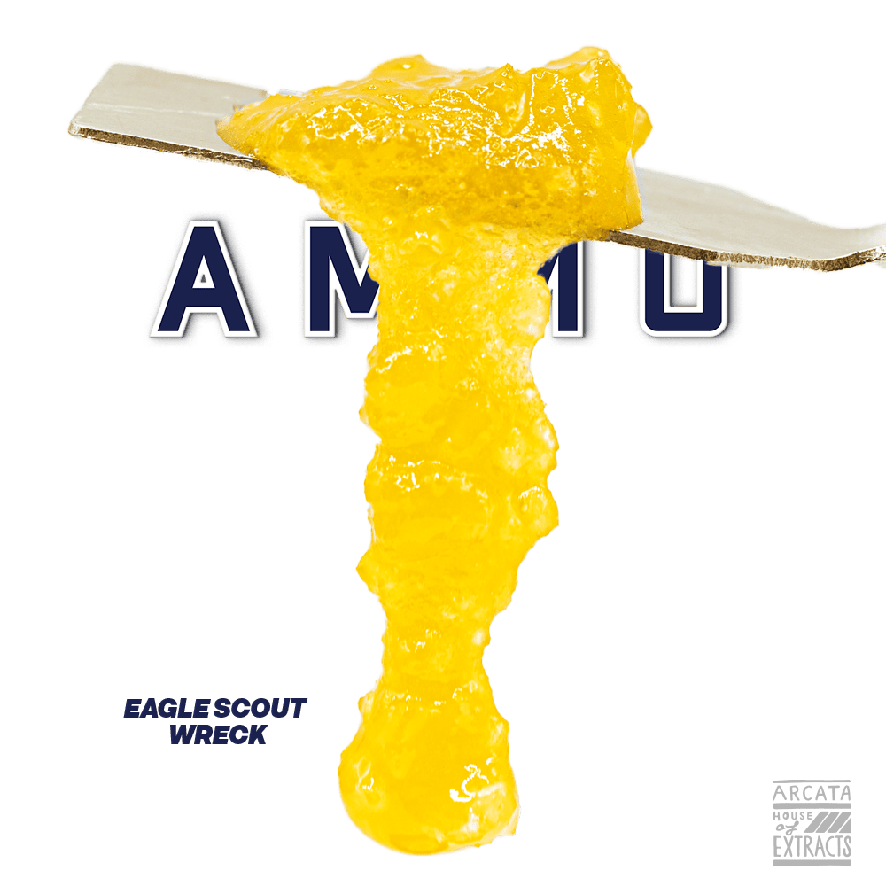 AMMO - Eagle Scout Wreck - Loaded Live™ Resin (1g) - 1