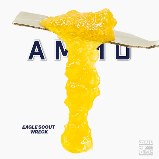 AMMO - Eagle Scout Wreck - Loaded Live™ Resin (1g) - 1