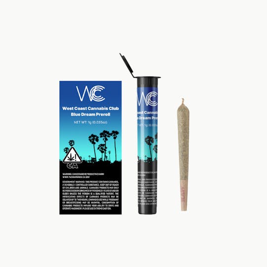 West Coast Cannabis Club - WCCC | Blue Dream Preroll - 1