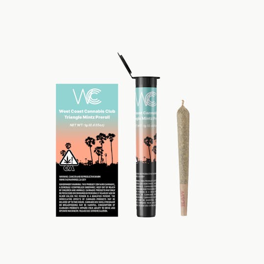 West Coast Cannabis Club - WCCC | Triangle Mintz Preroll - 1