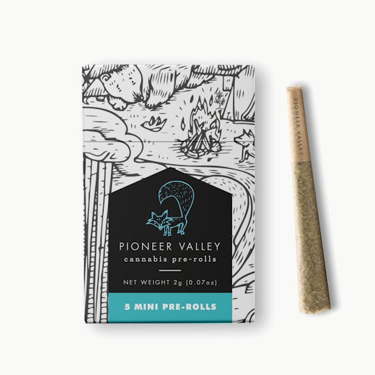 Pioneer Valley Cannabis Co - Zkittles Glue Mini Pre-Roll 5-pack (2g) - 1