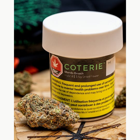 Coterie - Mendo Breath Hybrid - 1