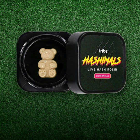 Tribe - Hashimals - Bear - 2 Grams - 1