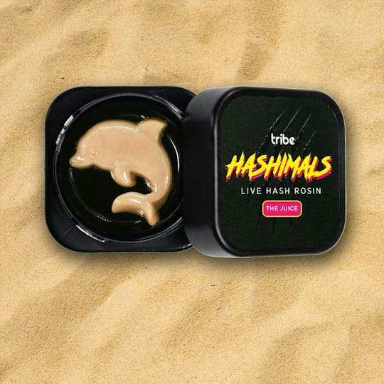 Tribe - Hashimals - Dolphin - 2 Grams - 1