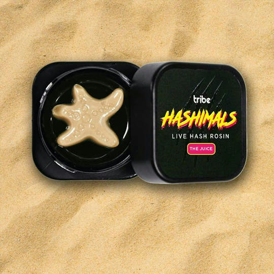 Tribe - Hashimals - Starfish - 2 Grams - 1