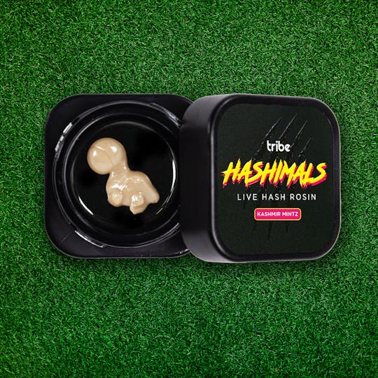 Tribe - Hashimals - Brontosaurus - 0.5 Grams - 1