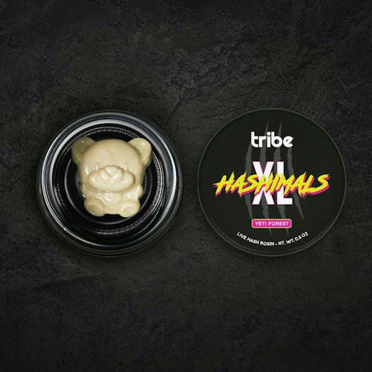 Tribe - Hashimals XL - Bear - 5 Grams - 1