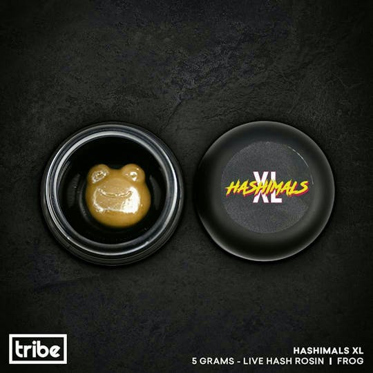 Tribe - Hashimals XL - Frog - 5 Grams - 1