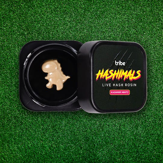 Tribe - Hashimals - T-Rex - 0.5 Grams - 1