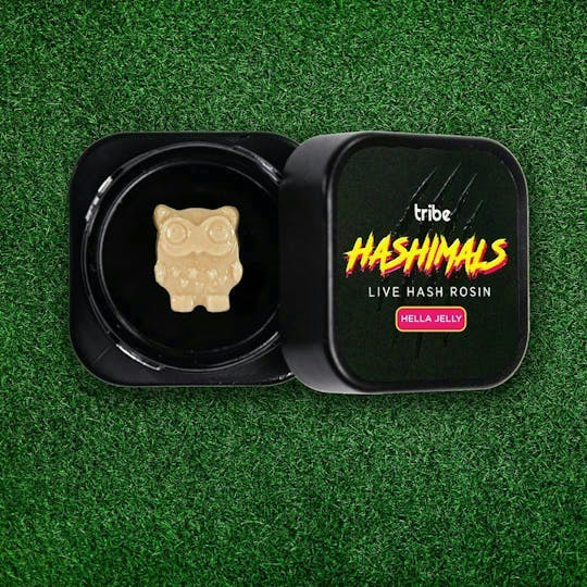 Tribe - Hashimal - Owl - 1 Gram - 1