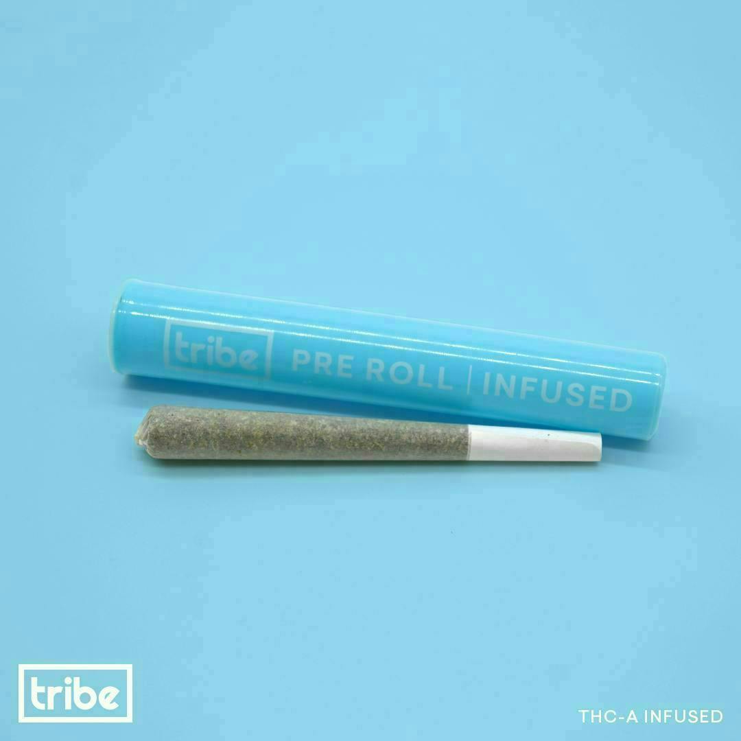 Tribe - Tribe | Hybrid | THCA Infused Joint | 1g - 1