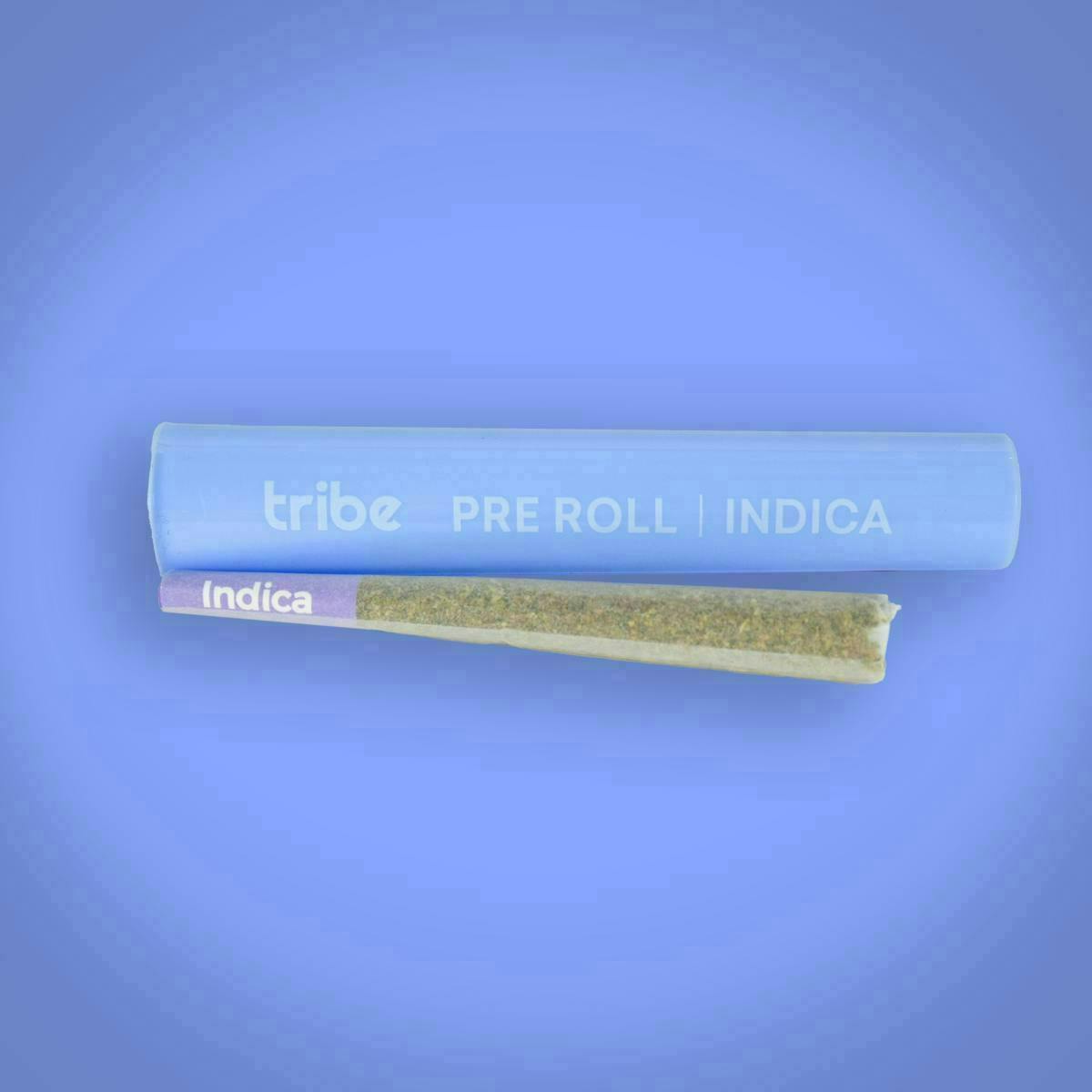 Tribe - Tribe | Purple Apricot | Joint | 1g - 1