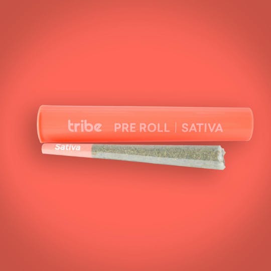 Tribe - Squirt - Sativa - Pre-Roll - 1g - 1