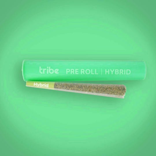 Tribe - Pre-Roll - Hybrid - 1g - 1
