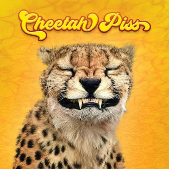 Phat Panda - Cheetah Piss - WA - 1
