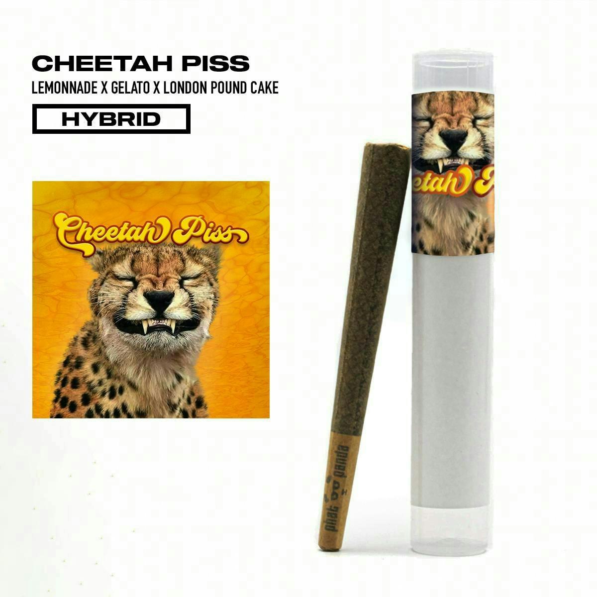 Phat Panda - Phat Panda | Cheetah Piss | Joint | 1g - 1