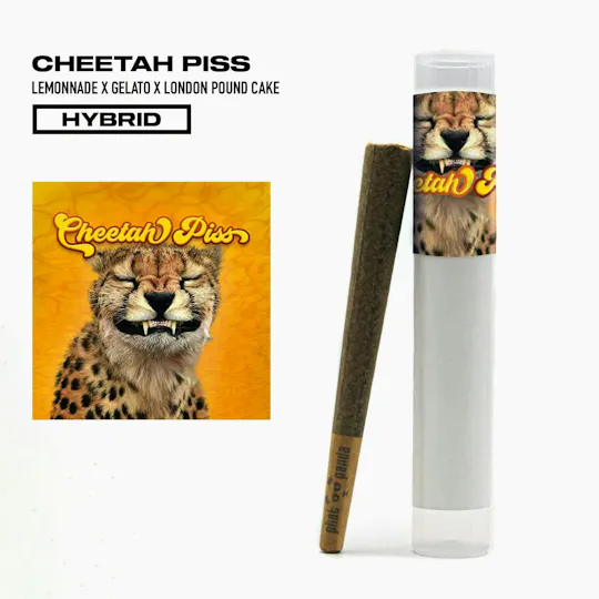 Phat Panda - Phat Panda | Cheetah Piss | Joint | 1g - 1