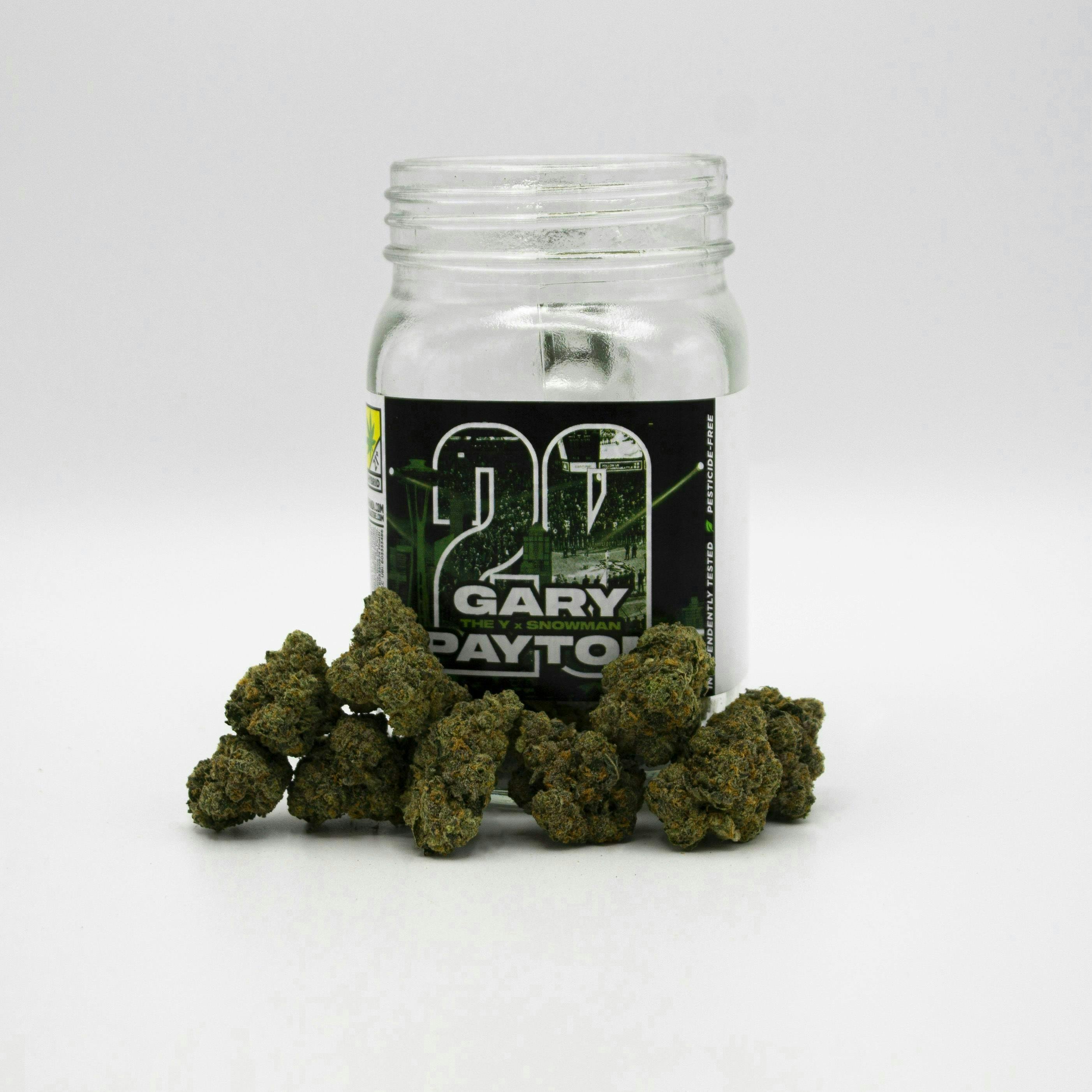 Phat Panda - Phat Panda | Gary Payton | Big Buds - 1